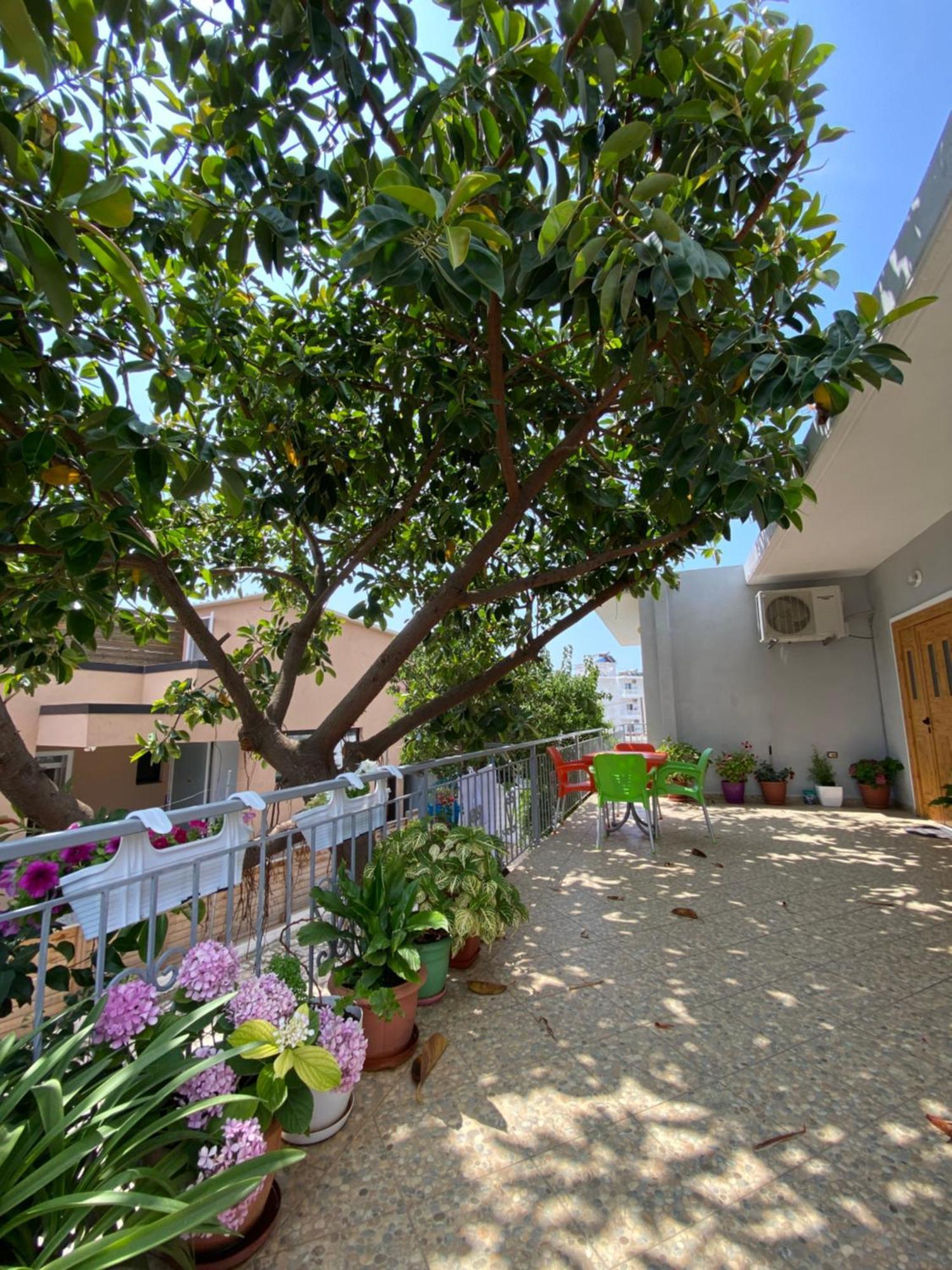 Albi'S Guesthouse Ksamil Extérieur photo