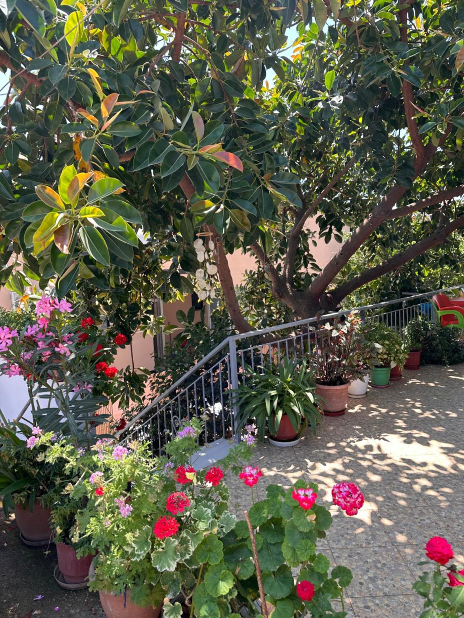 Albi'S Guesthouse Ksamil Extérieur photo