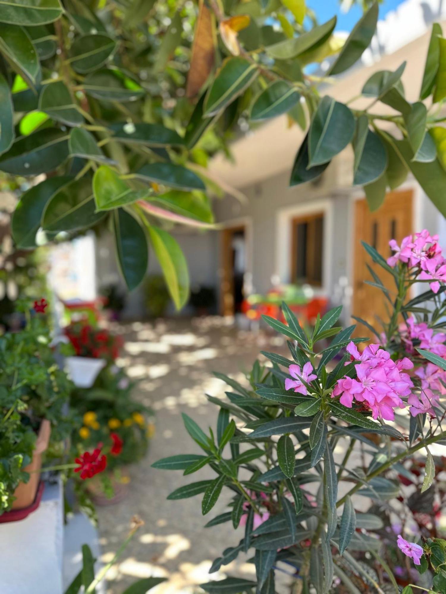 Albi'S Guesthouse Ksamil Extérieur photo