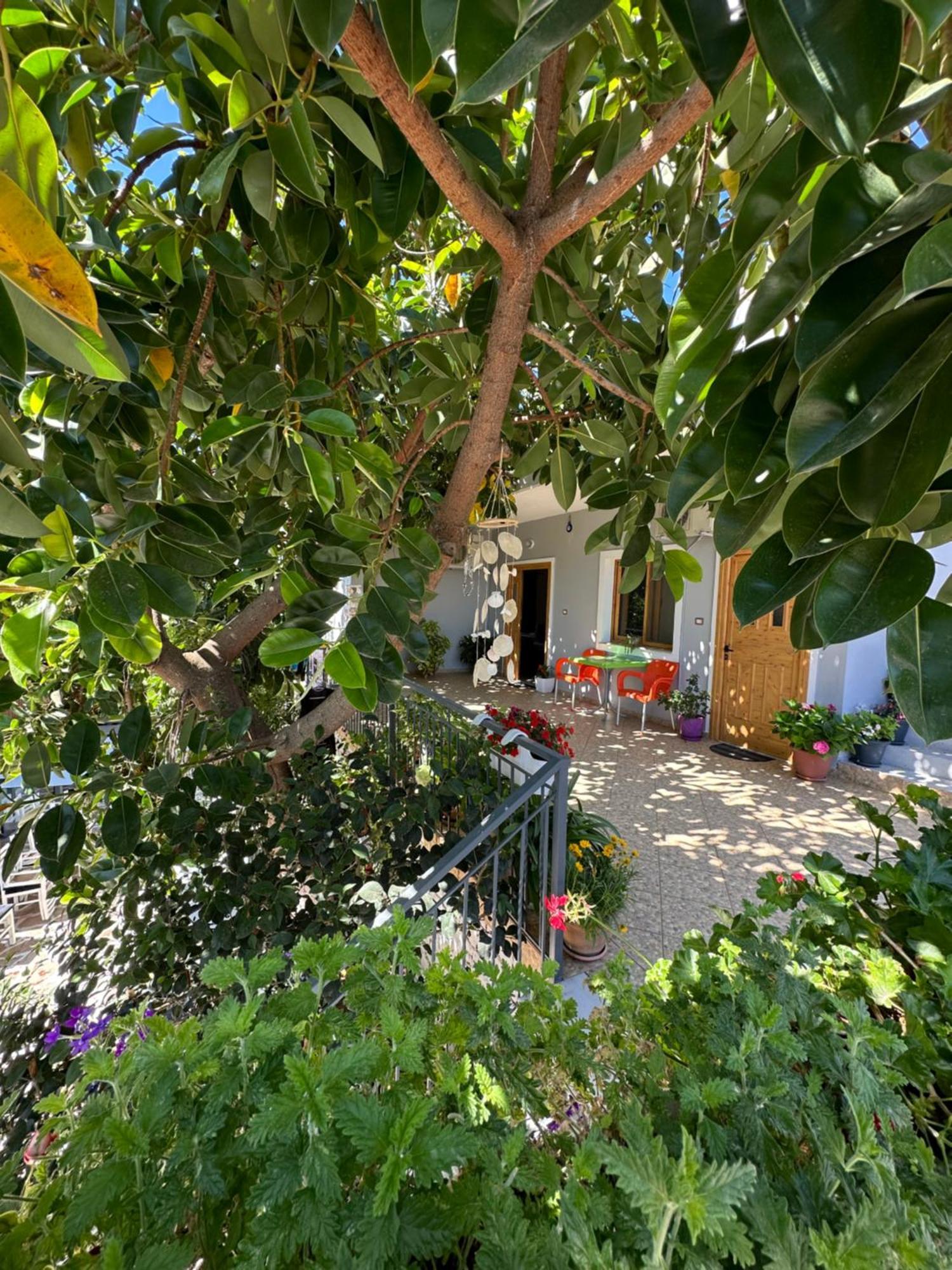 Albi'S Guesthouse Ksamil Extérieur photo